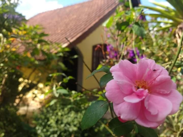 Willa Vivenda Dos Bem-Te-Vis Monte Verde  Zewnętrze zdjęcie